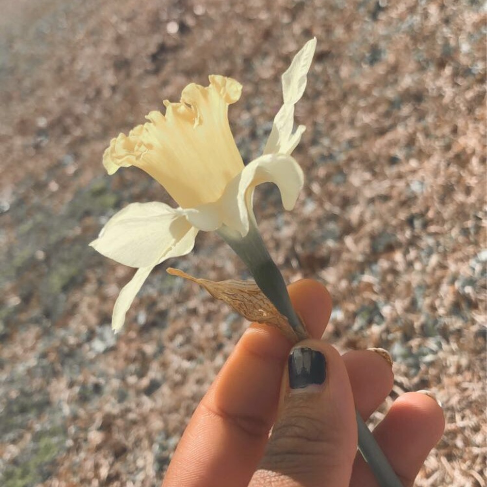 Meet your Posher, Makayla